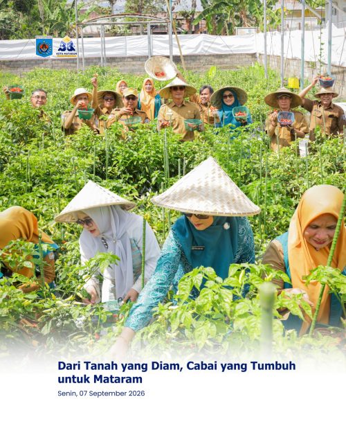 Dari Tanah yang Diam, Cabai yang Tumbuh untuk Mataram